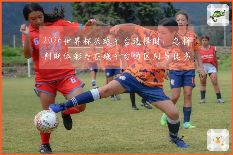2026世界杯买球平台选择时，怎样判断体彩与在线平台的区别与优劣？