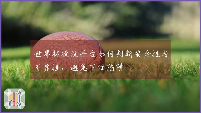 世界杯投注平台如何判断安全性与可靠性，避免下注陷阱