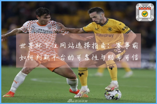 世界杯下注网站选择指南：赛事前如何判断平台的可靠性与赔率可信度