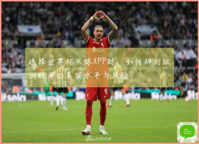 选择世界杯买球APP时，如何辨别欧洲赔率的真实水平与风险？