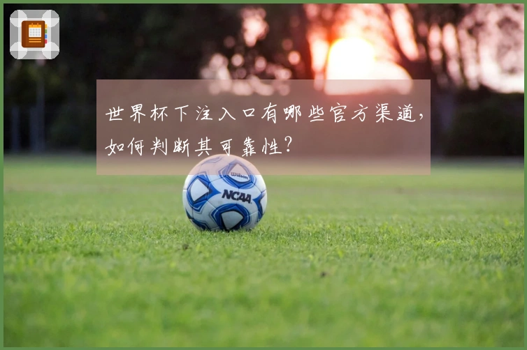 世界杯下注入口有哪些官方渠道，如何判断其可靠性？