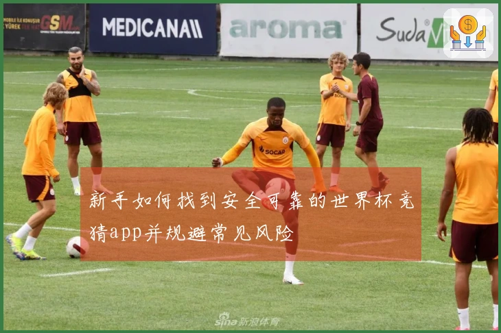 新手如何找到安全可靠的世界杯竞猜app并规避常见风险