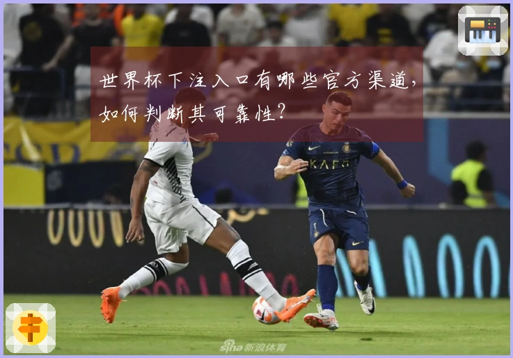 世界杯下注入口有哪些官方渠道，如何判断其可靠性？